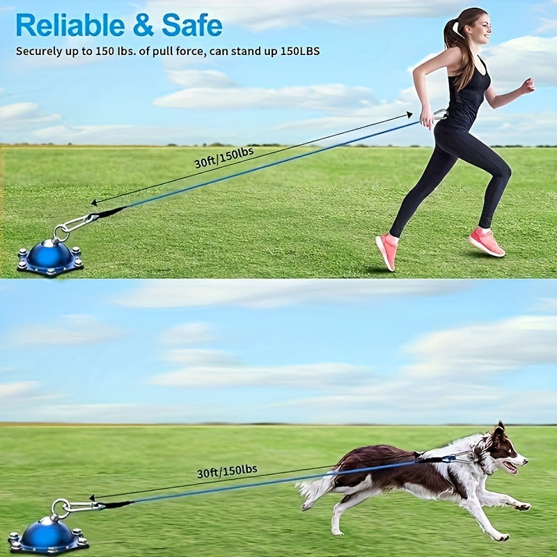 Dog Leash and Stakes, 360° Rotating No Tangles, with 30 Feet of Lead