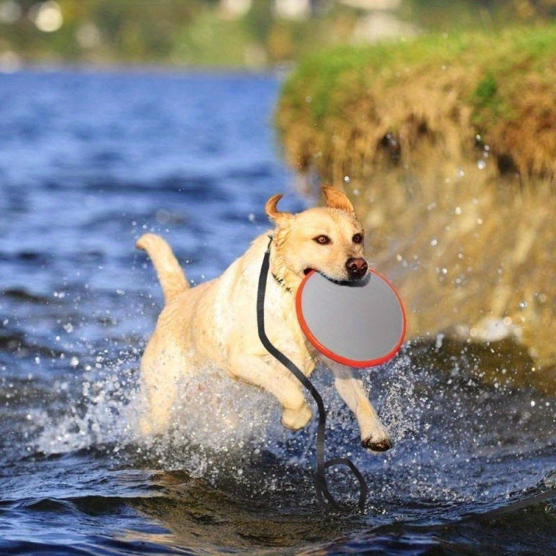 Nylon Dog Training Leash Walking