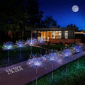 Solar Firework Lights