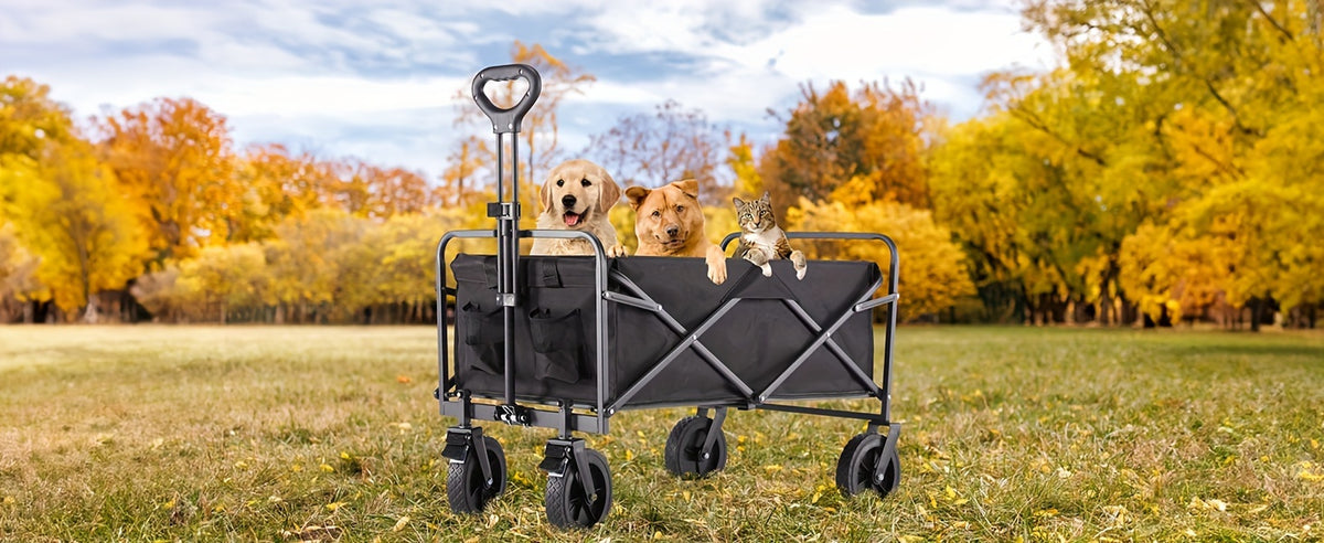 Collapsible Foldable Wagon Cart, Shopping, Camping with Big All-Terrain Wheels