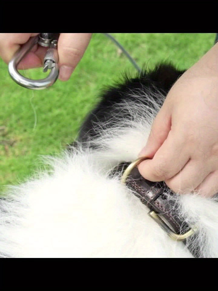 Pet Tie Out Cable For Dogs, 10/20/30ft