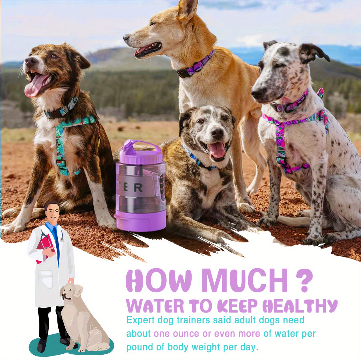 74oz Purple Dog Water Bottle with Pull-Out Bowl