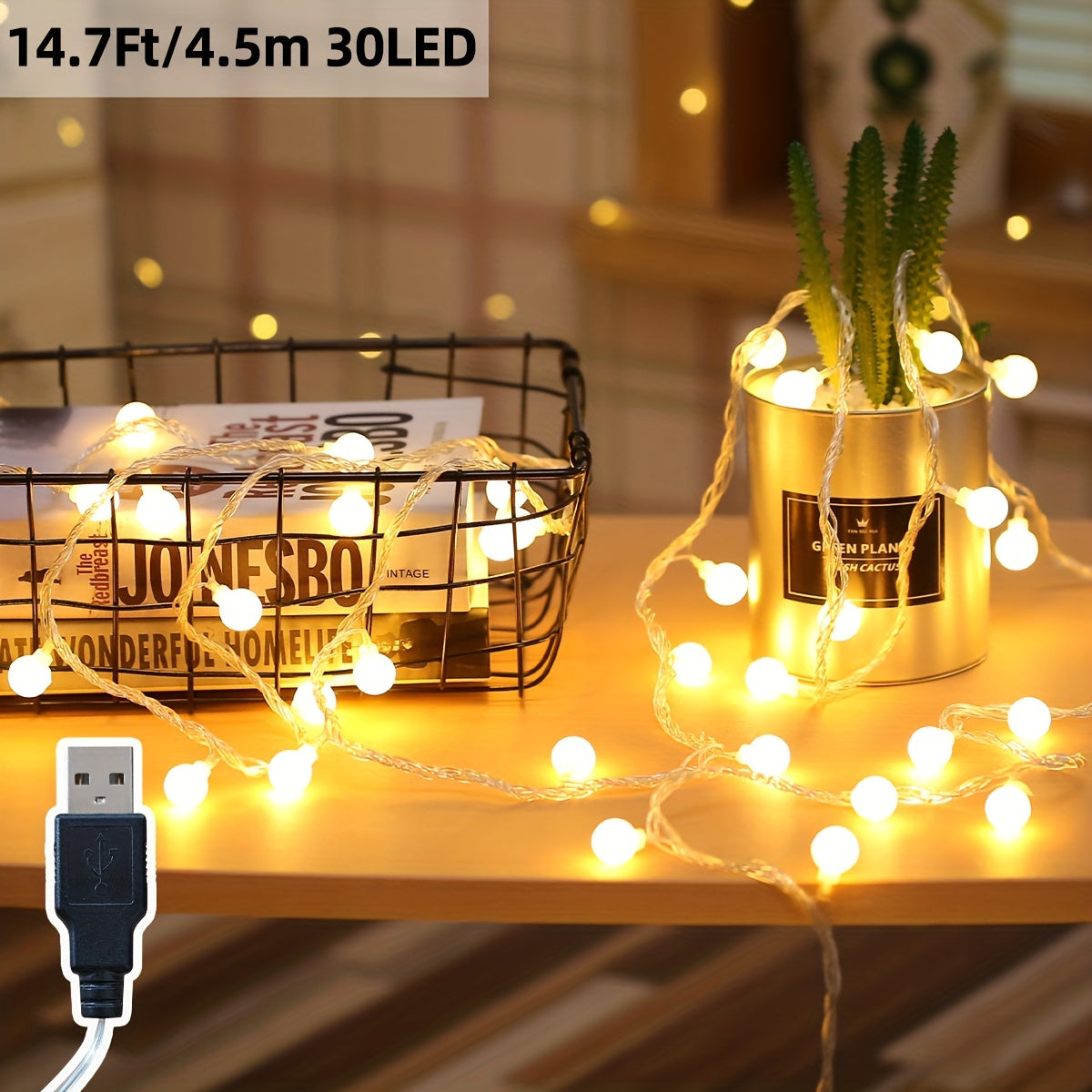 Globe String Light, 10/20/30/40/80 Led Fairy Light