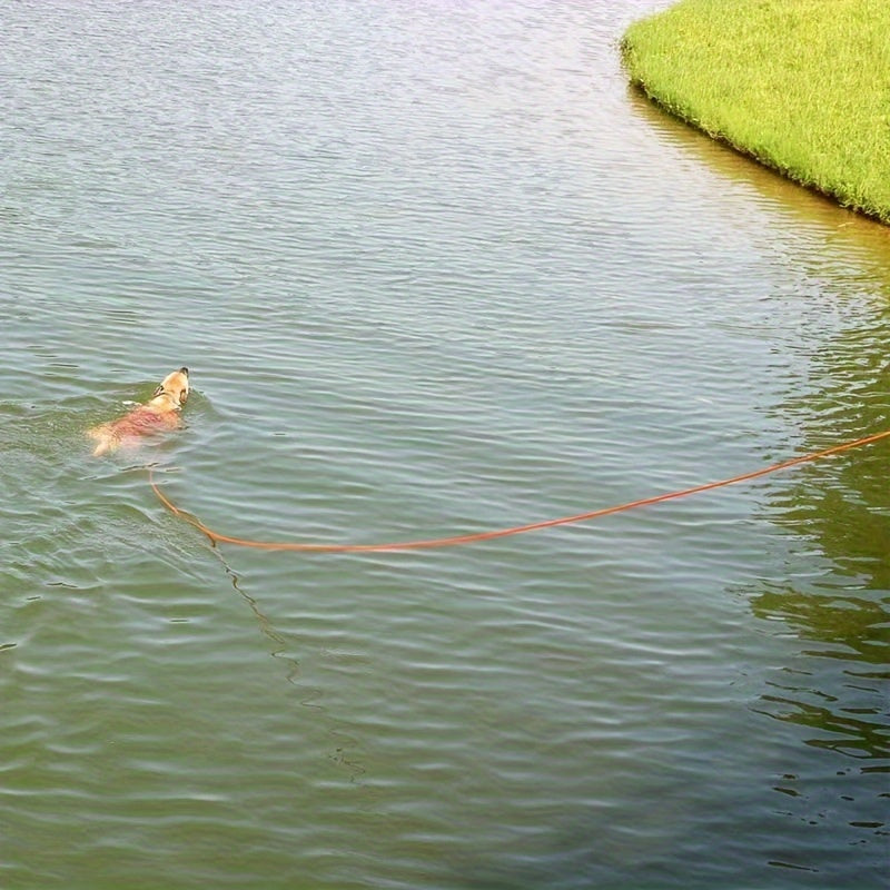 Dog Recall Training Leash
