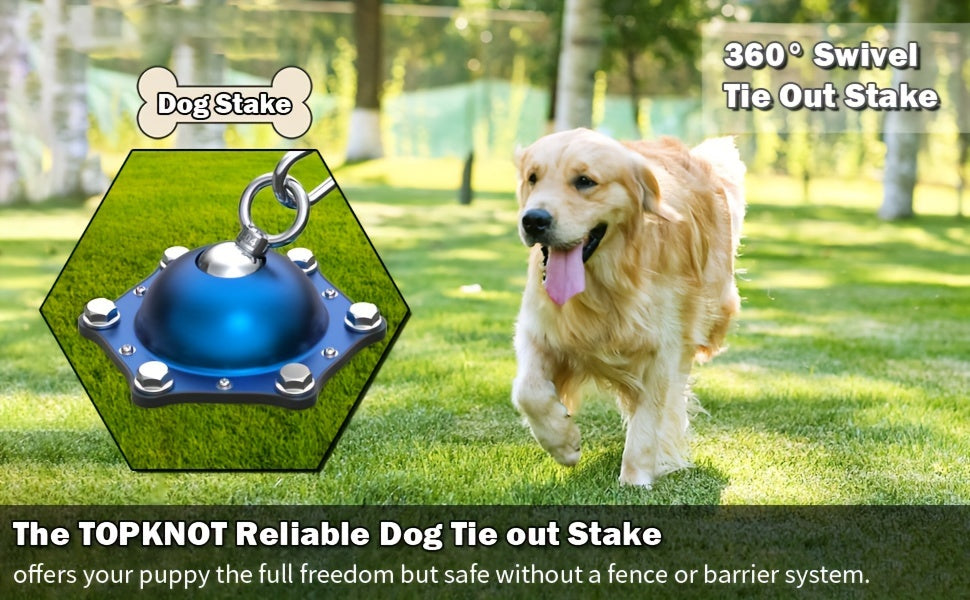 Dog Leash and Stakes, 360° Rotating No Tangles, with 30 Feet of Lead